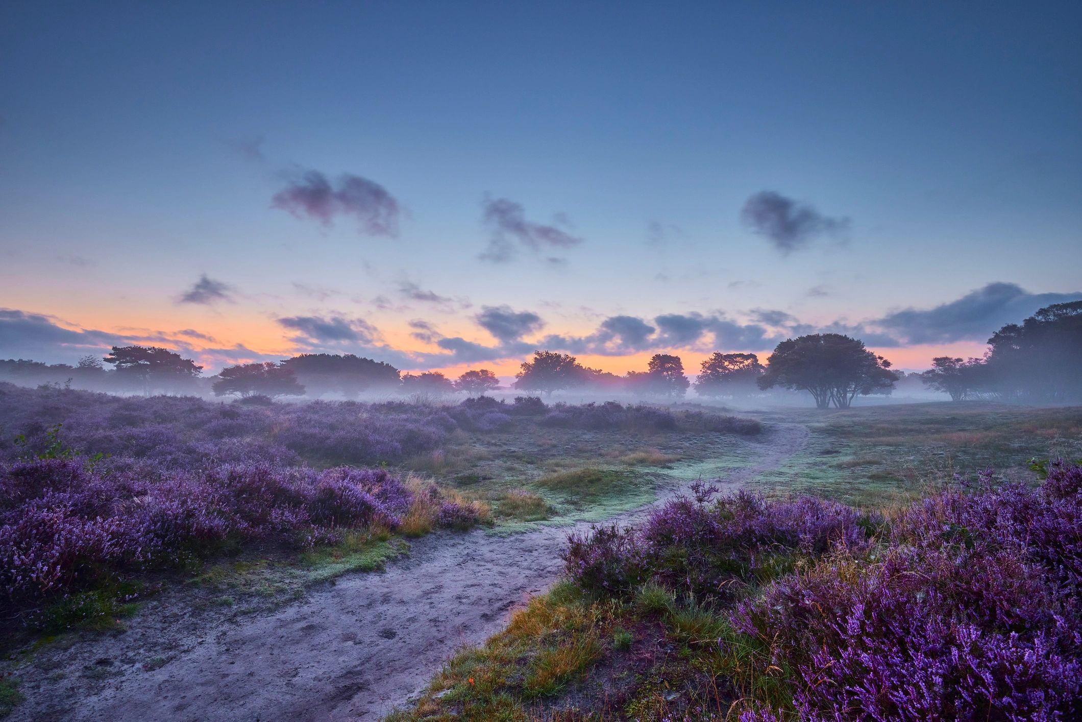 Sunrise over a field with a footpath